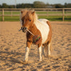 QHP Horse Toy - Hamburger