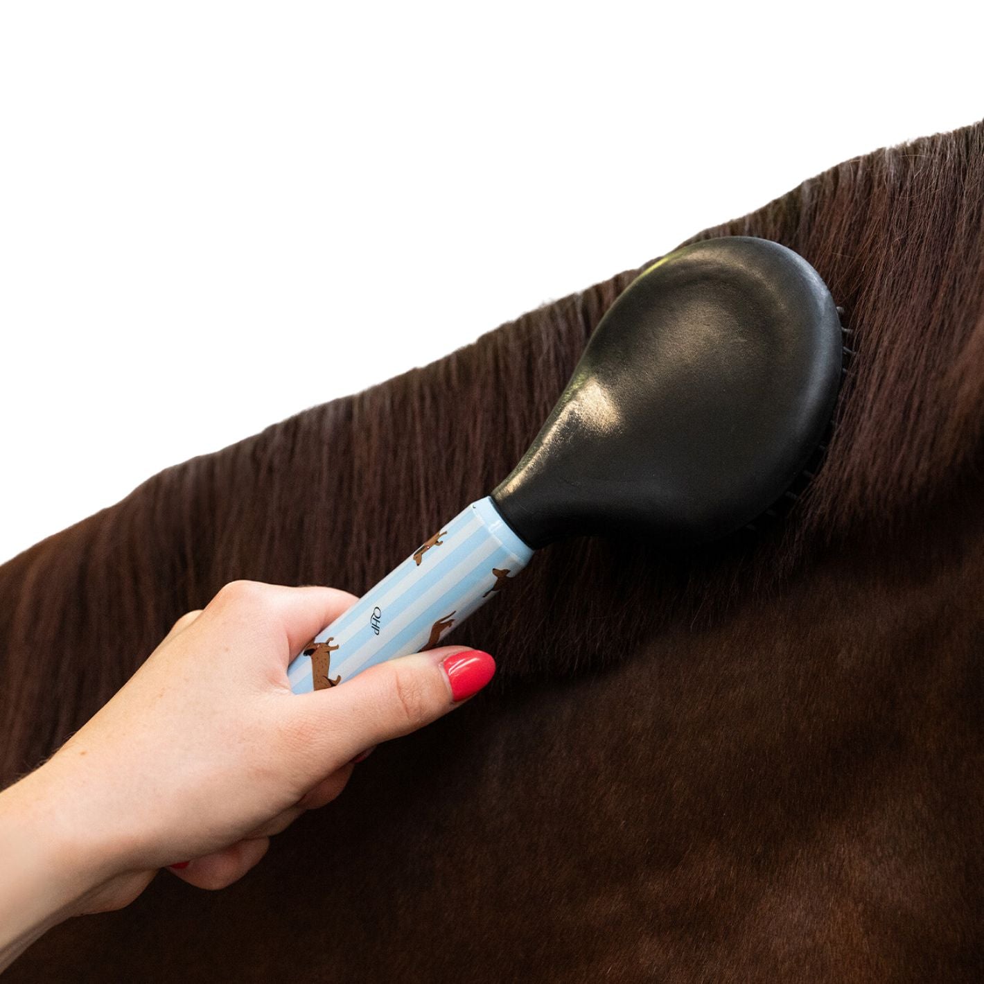 QHP Grooming Set - Dachshund