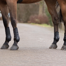 Load image into Gallery viewer, QHP Champion Tendon Boots
