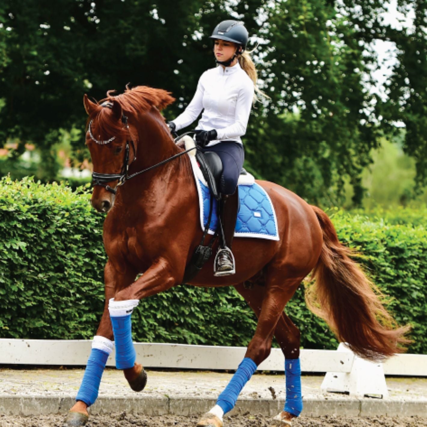 Equestrian Stockholm Dressage Pad - Sapphire