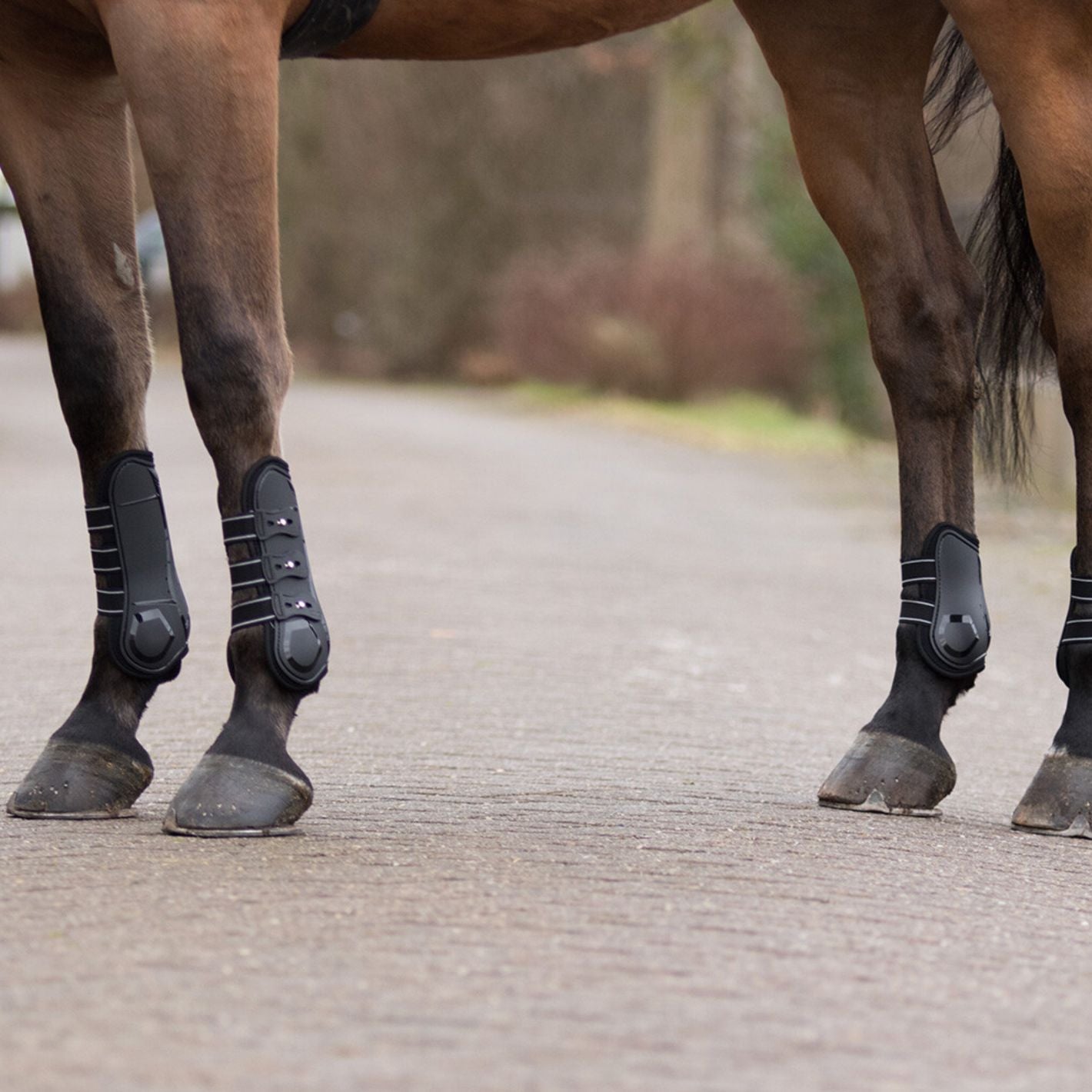 QHP Champion Tendon Boots