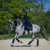 Equestrian Stockholm Bandages - Royal Classic