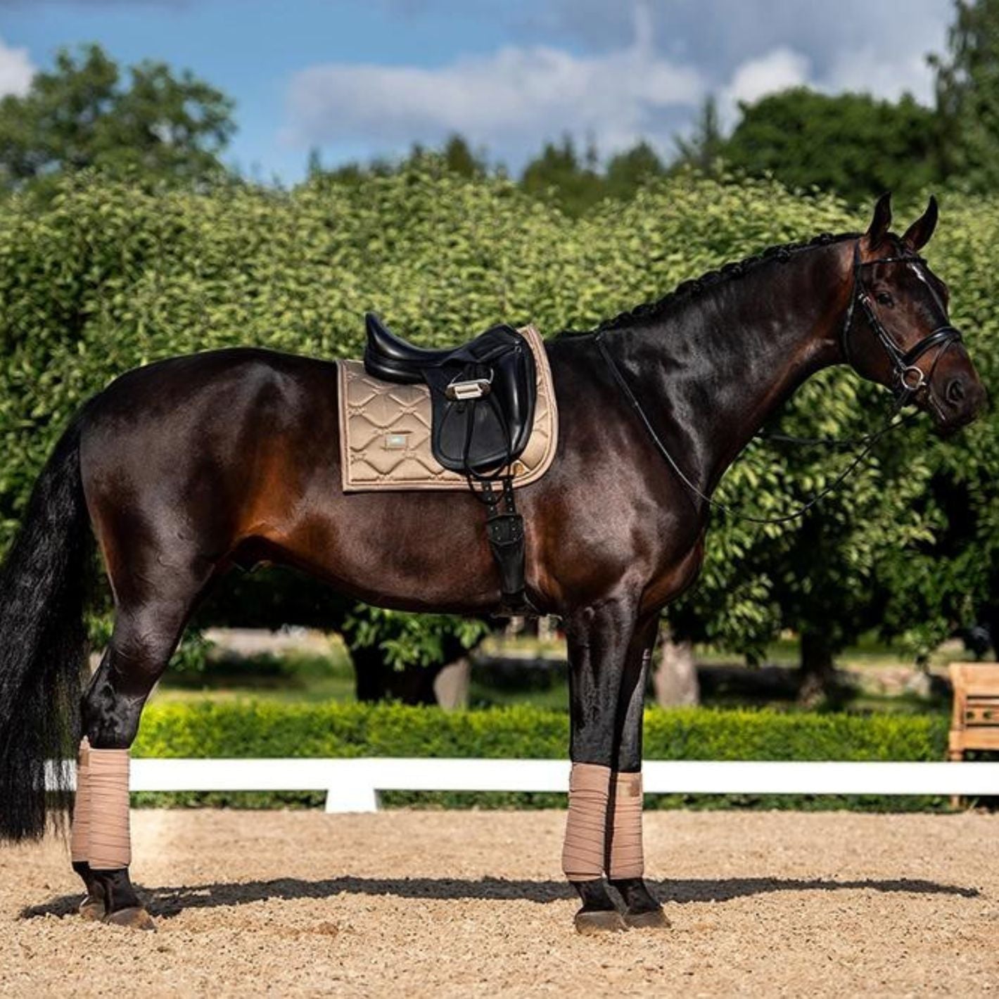 Equestrian Stockholm Bandages - Champagne