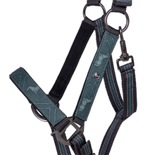 Load image into Gallery viewer, QHP Headcollar &amp; Leadrope Set - Emerald
