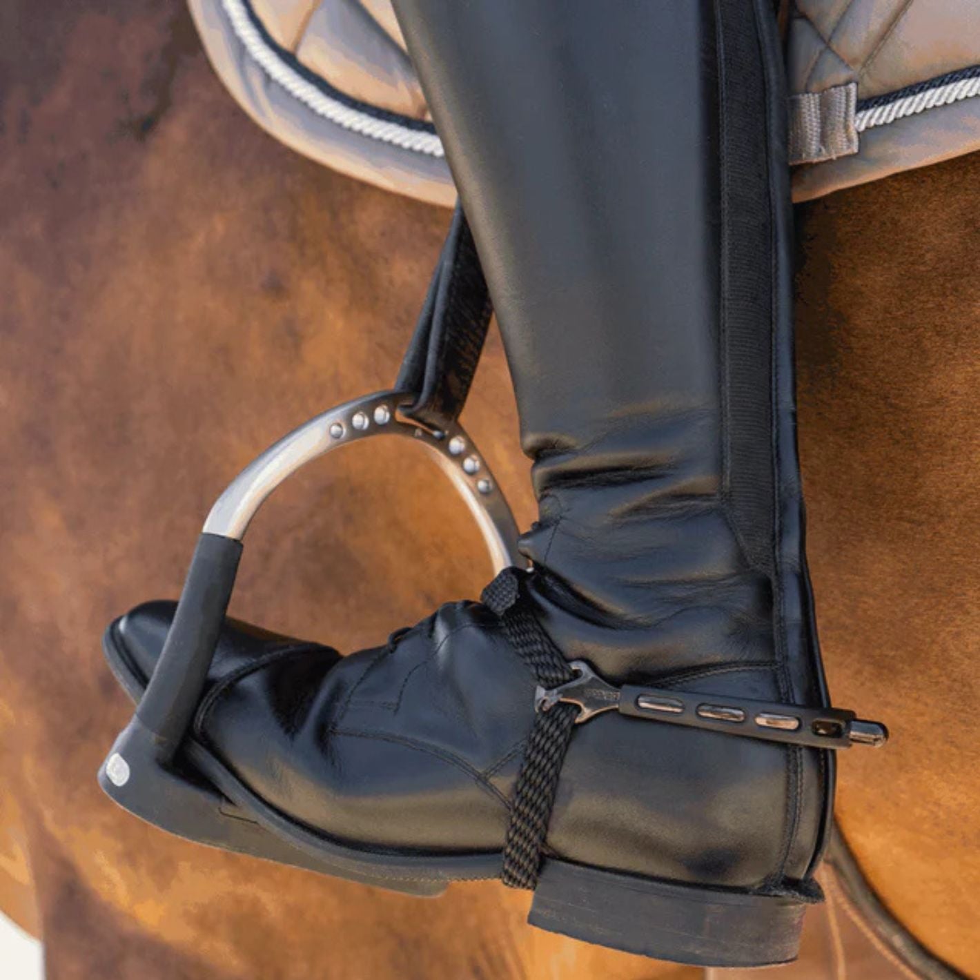 Sprenger Ultra Fit Extra Grip Spurs - Round Neck Anthracite