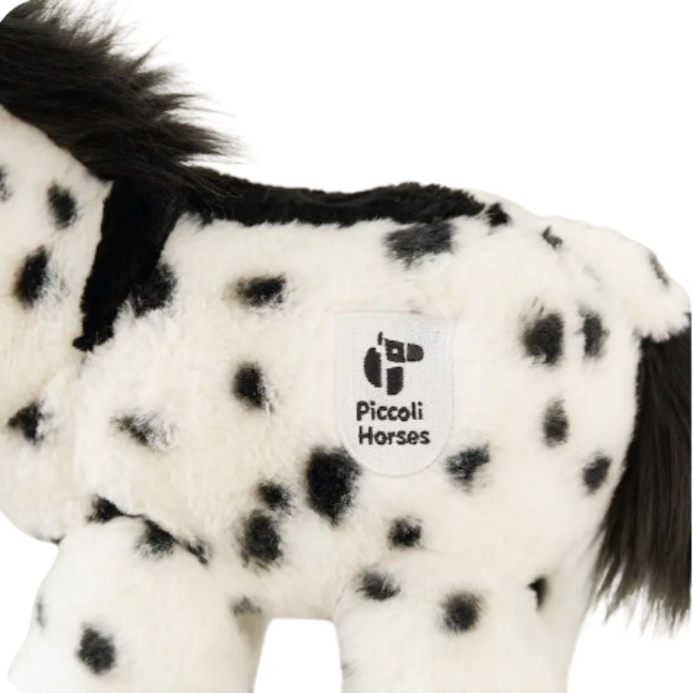 Piccoli Donkey - Chrissy