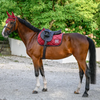 Boss Equestrian Velvet Jump Saddle Pad - Cabernet