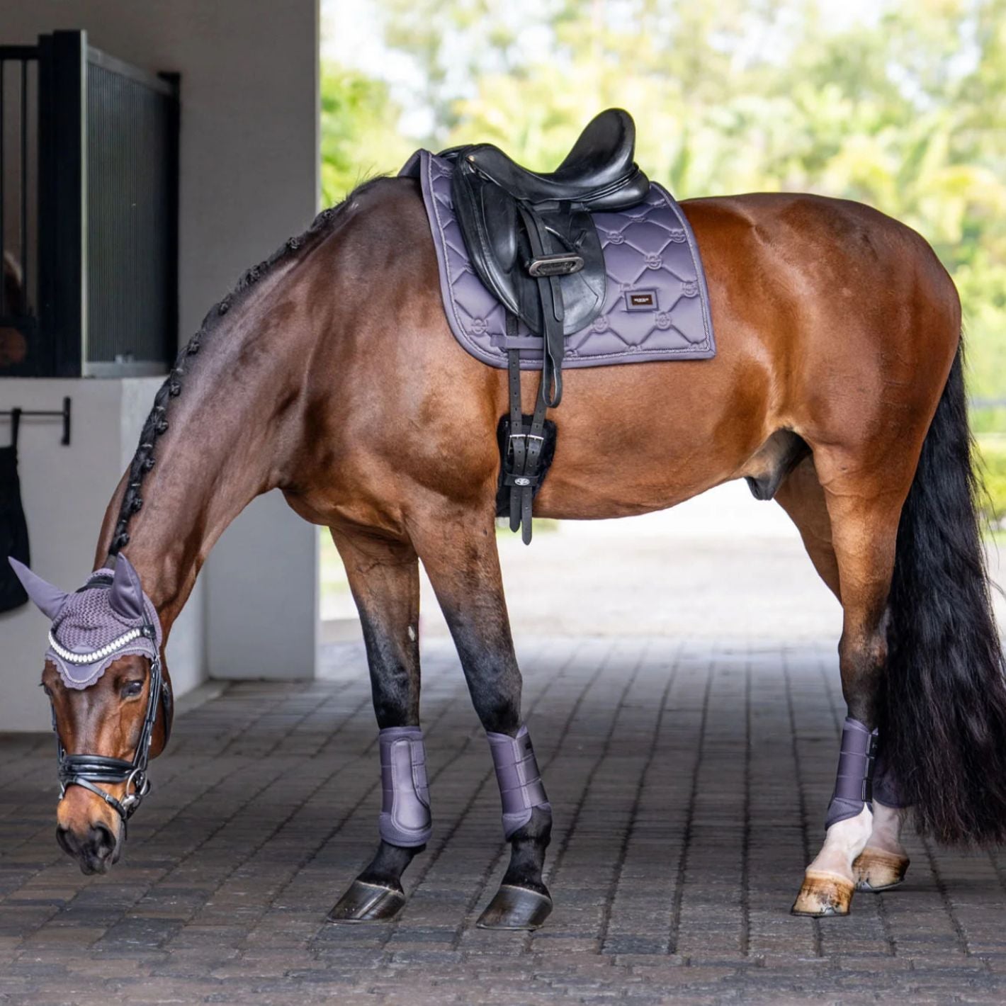 Equestrian Stockholm Ear Bonnet - Dark Violet