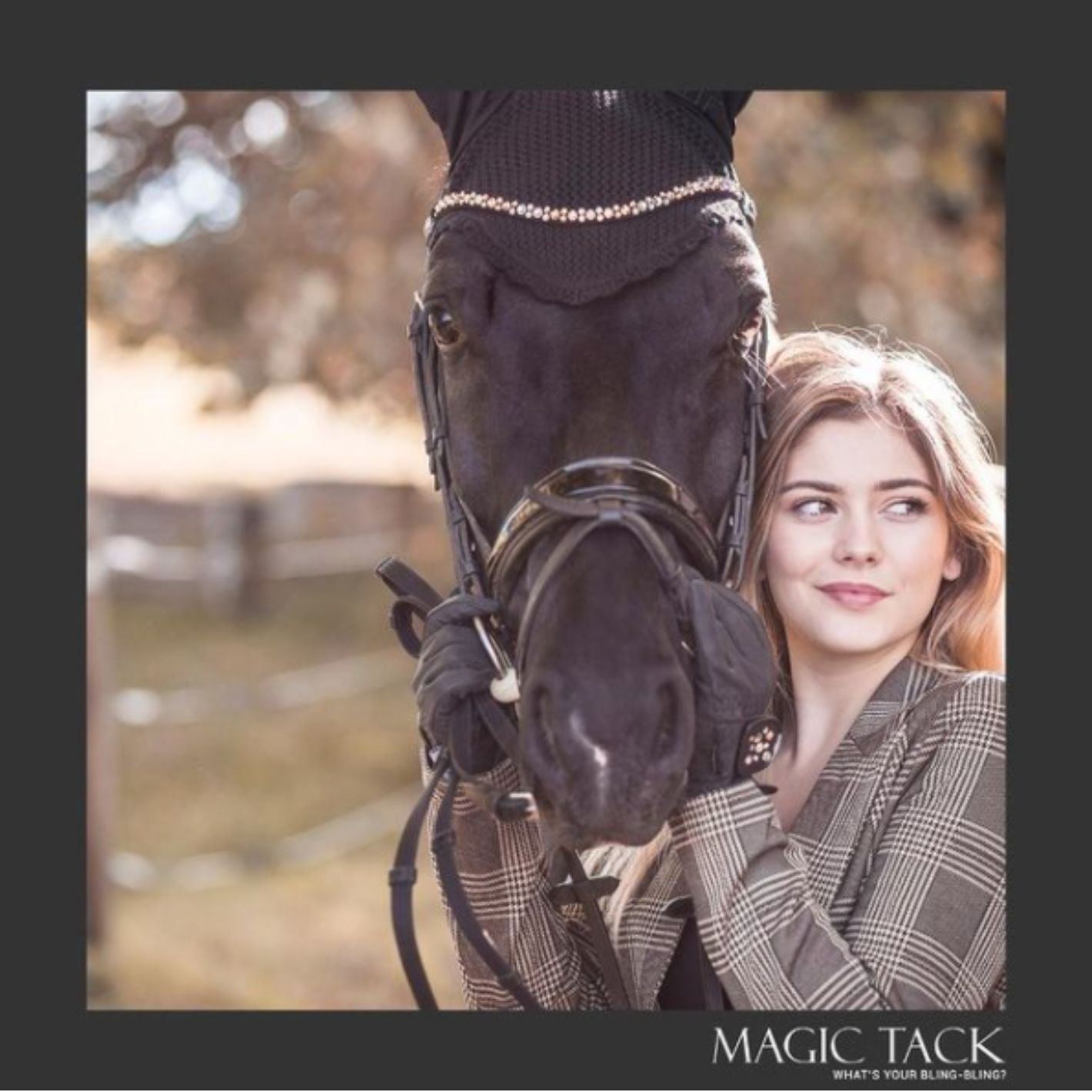 MagicTack Curved Browband - Sienna Gold