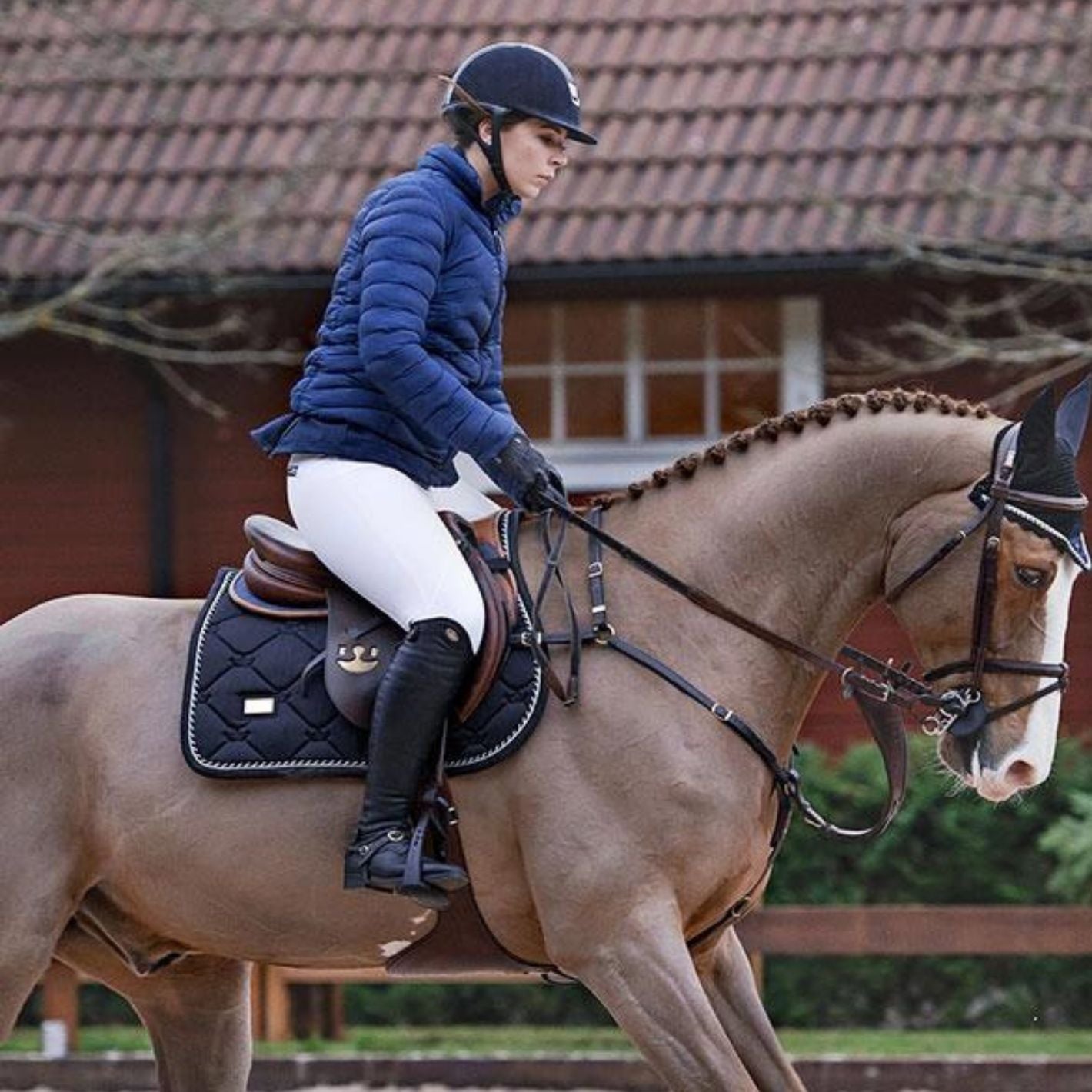 Equestrian Stockholm Jump Pad - Black Edition
