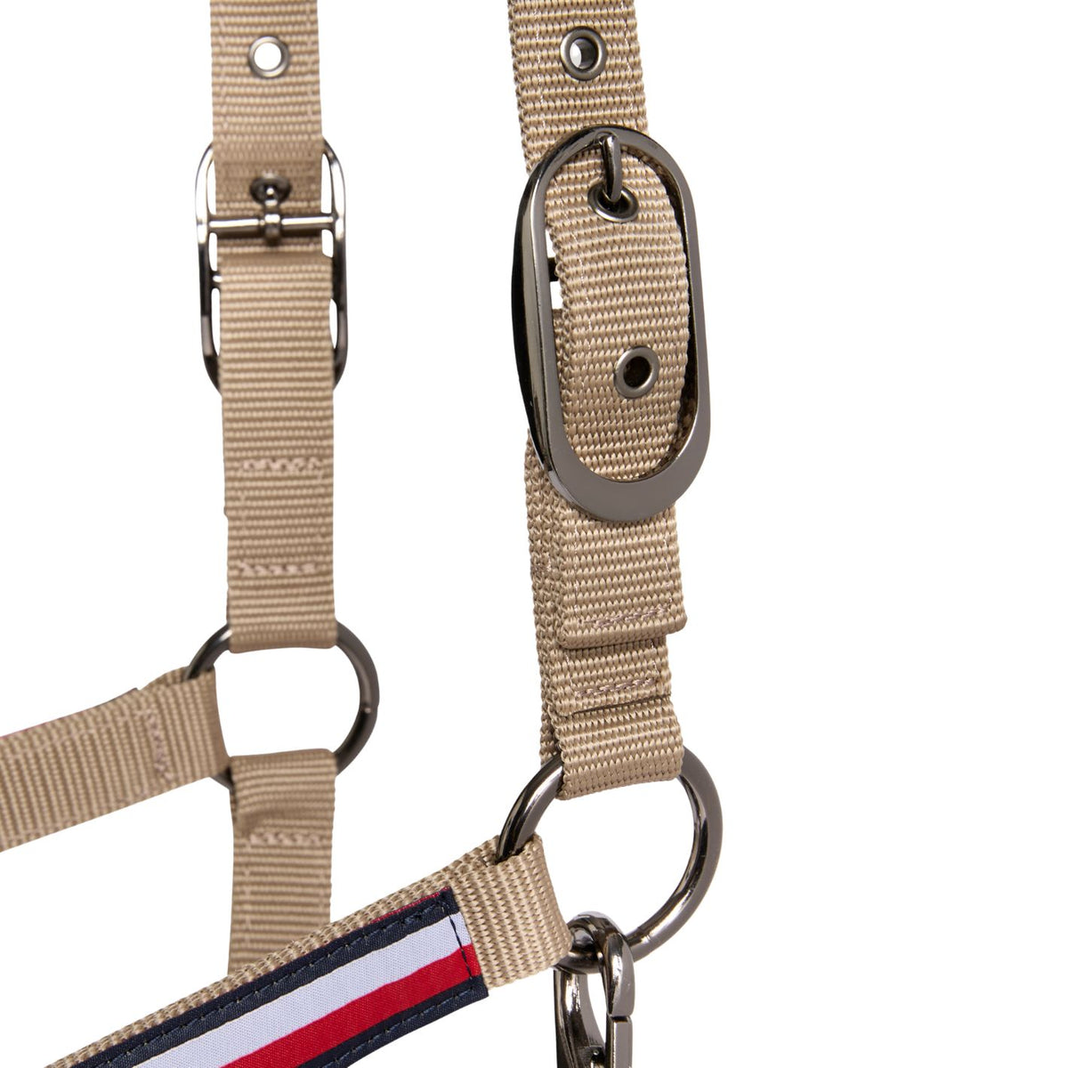 Tommy Hilfiger Yale Headcollar & Leadrope Set - Taupe