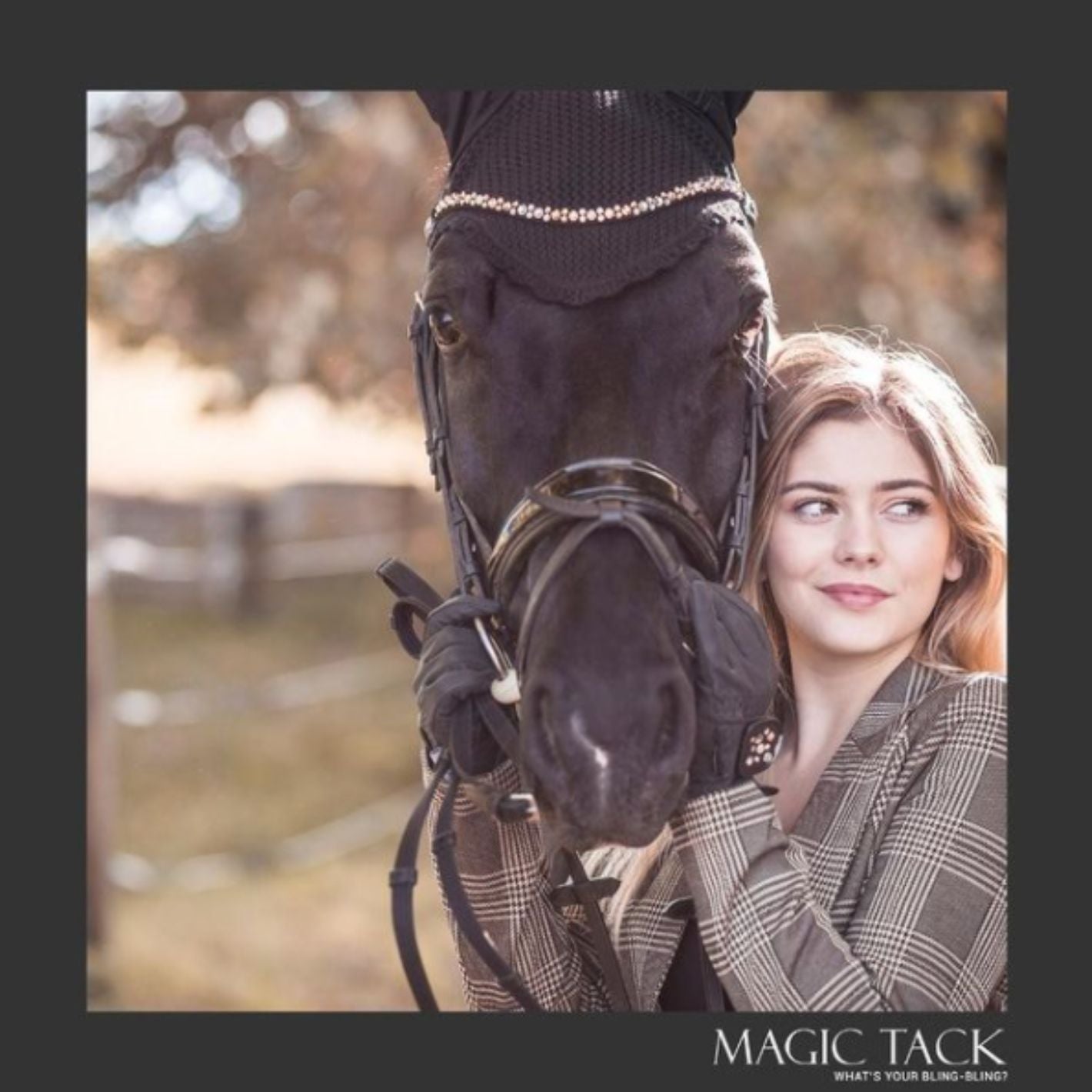 MagicTack Curved Browband - Pina Colada
