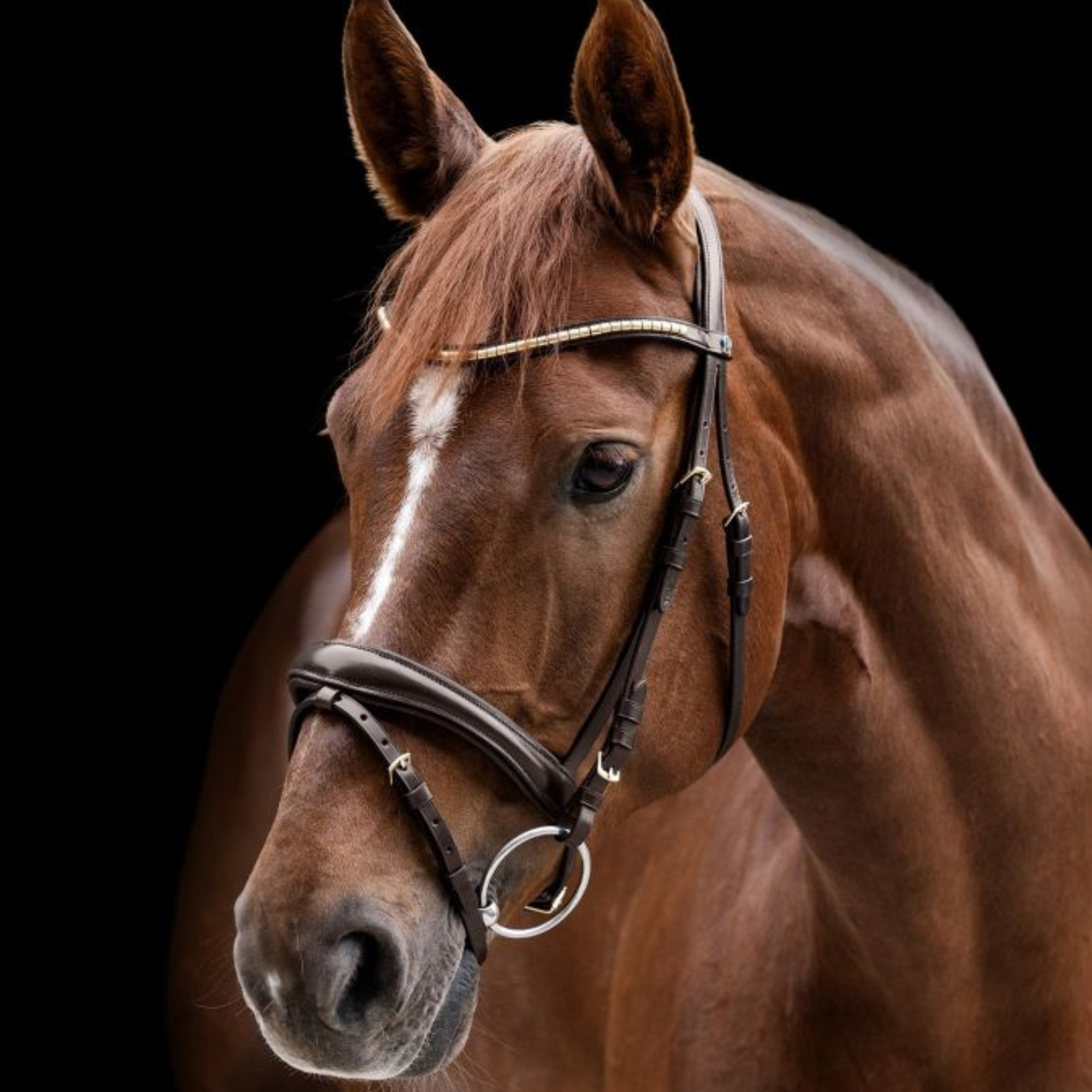 Waldhausen Bridle X-Line Bridle Clincher - Brown