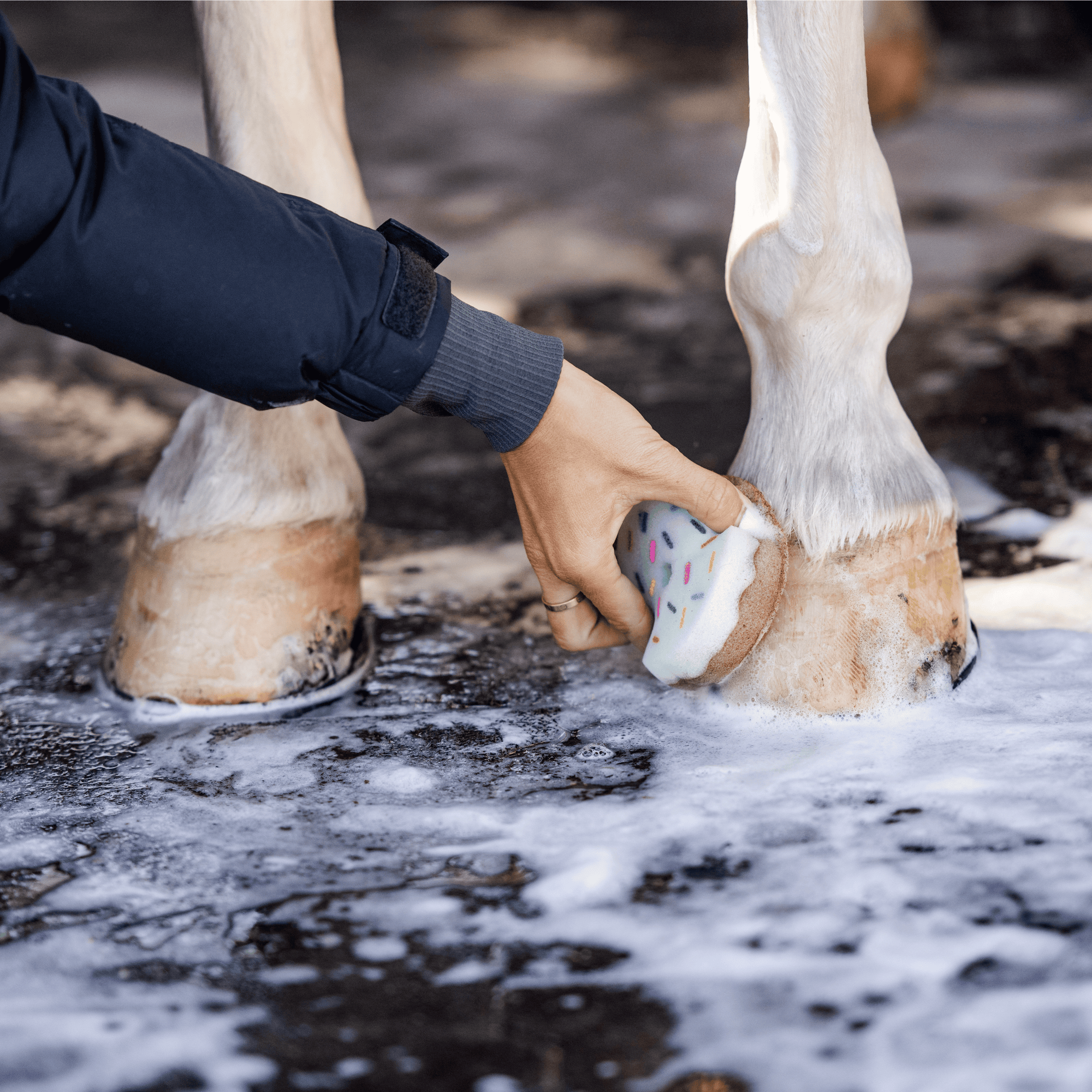 Dreamers & Schemers Donut Tack Sponges - 6 Pack