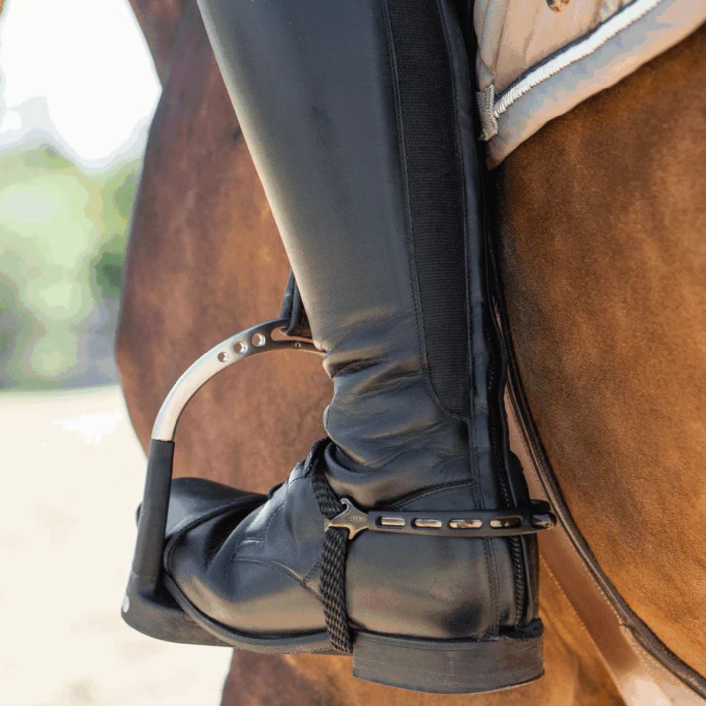 Sprenger Ultra Fit Extra Grip Spurs - Round Neck Anthracite