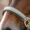 Waldhausen Headcollar & Leadrope Set - Sage