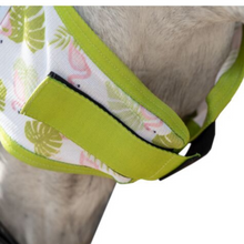 Load image into Gallery viewer, HKM Fly Mask - Flamingos
