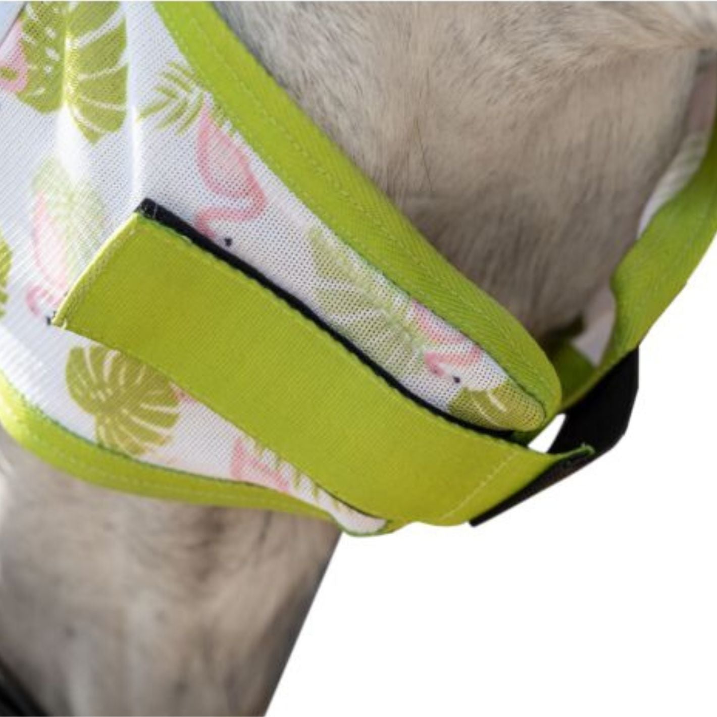 HKM Fly Mask - Flamingos