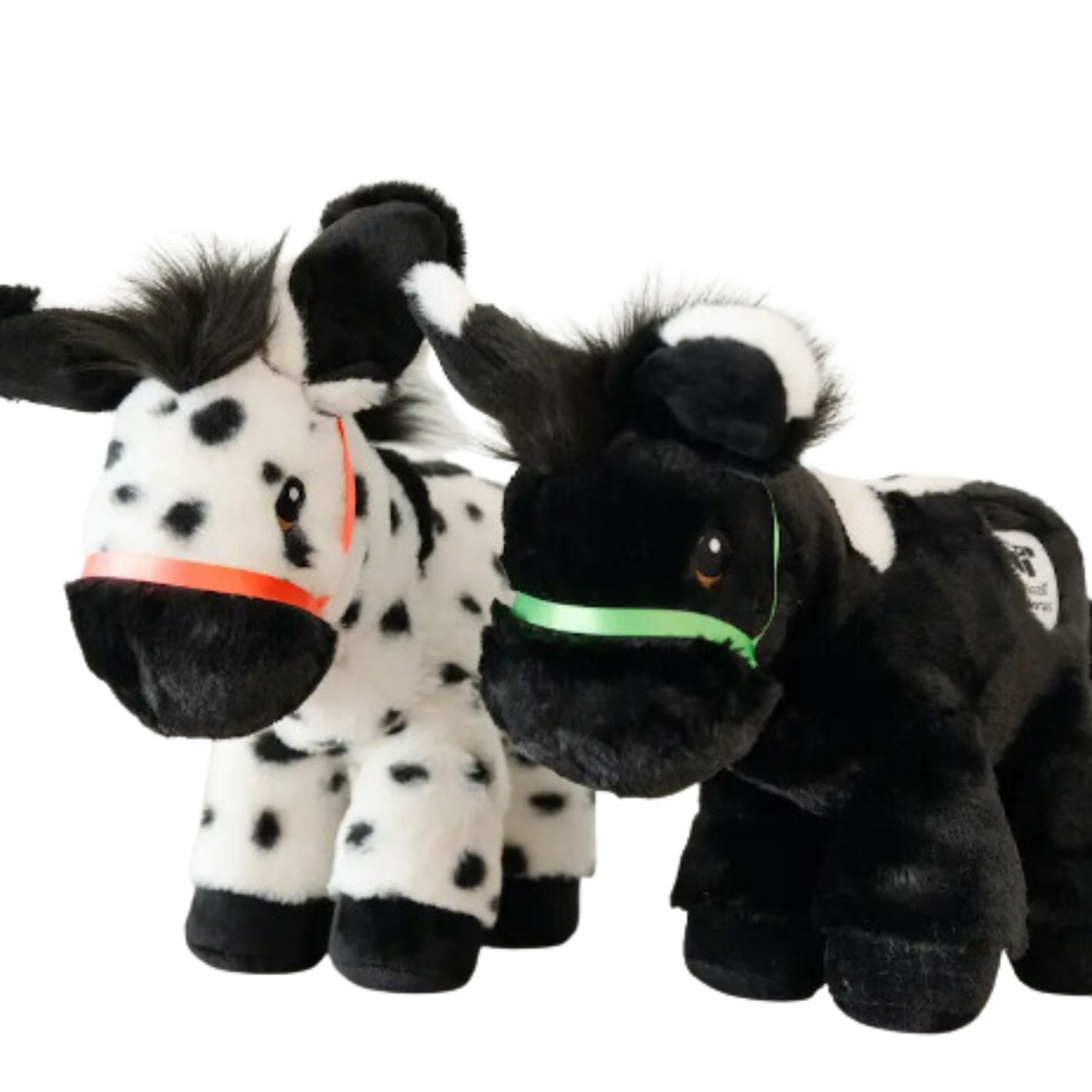 Piccoli Donkey - Chrissy