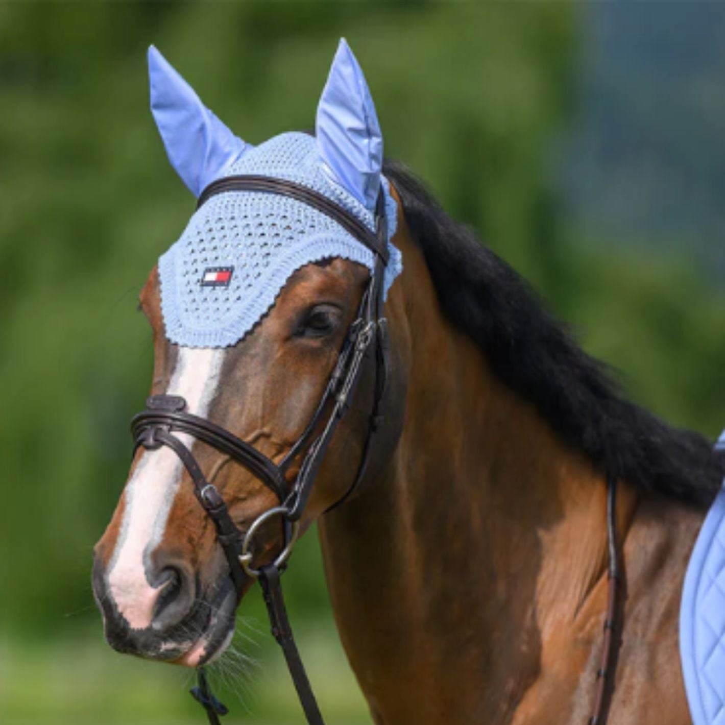 Tommy Hilfiger Lexington Ear Bonnet - Sweet Blue