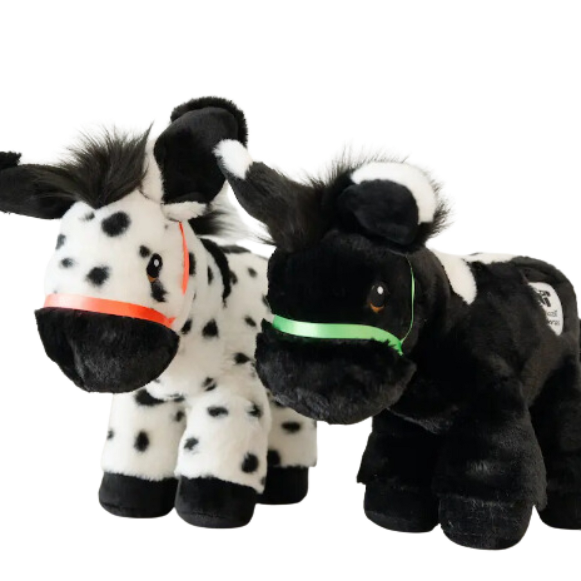 Piccoli Donkey - Chrissy