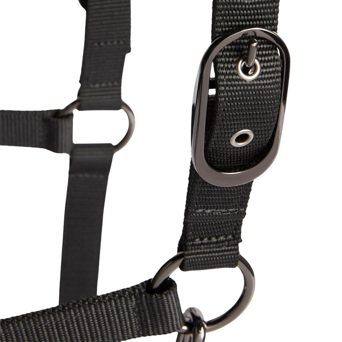 Tommy Hilfiger Yale Shine Headcollar & Leadrope Set - Black