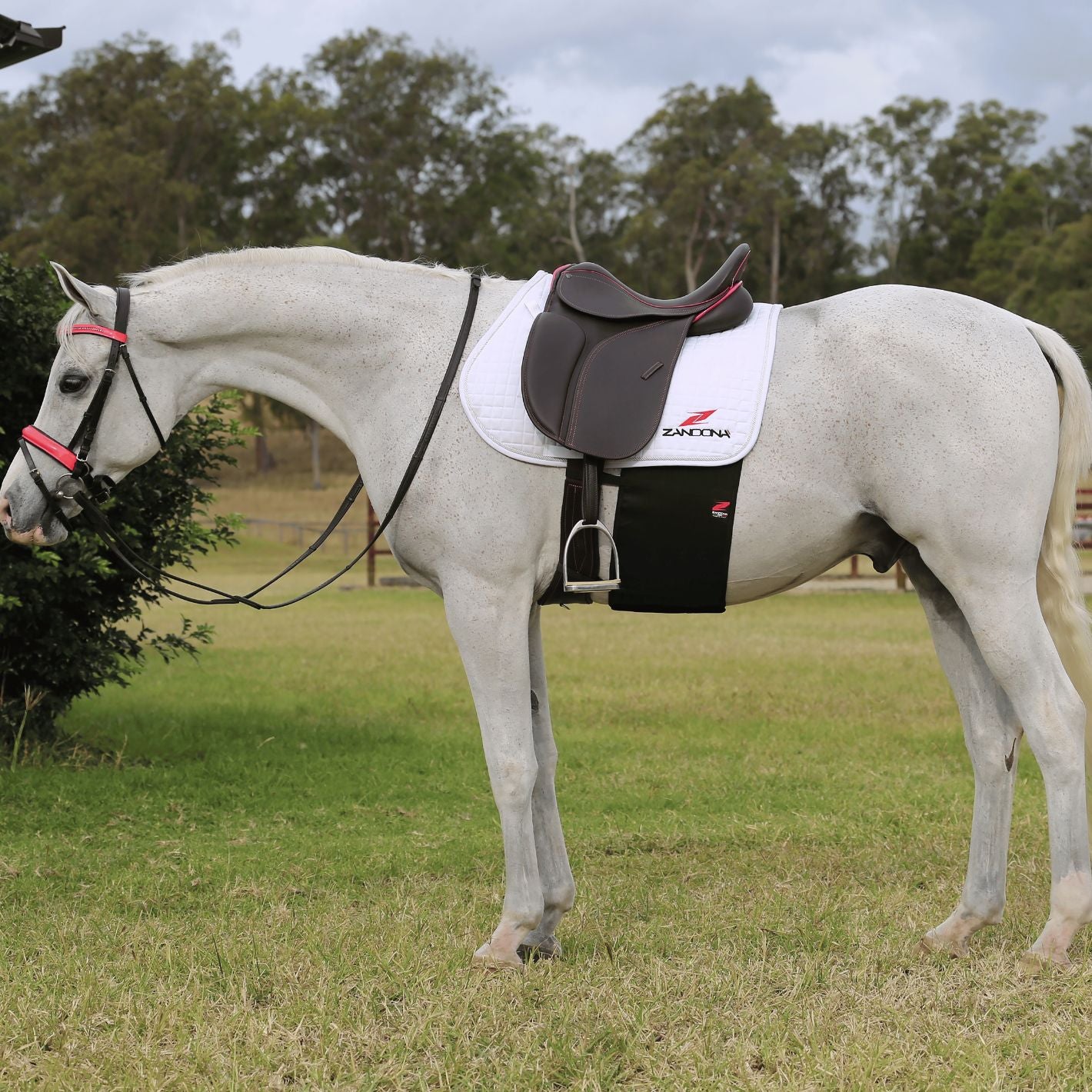 Zandona Belly Guard