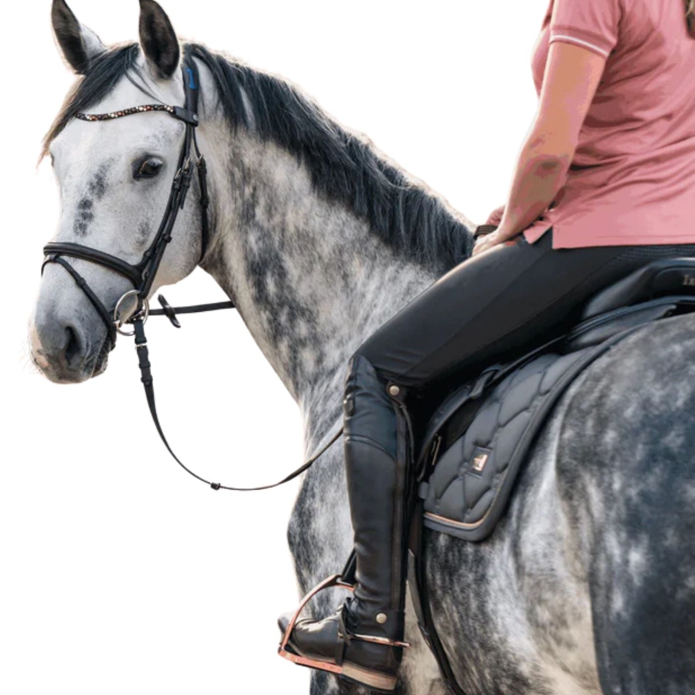 Sprenger Fillis Stirrups - Rose Gold