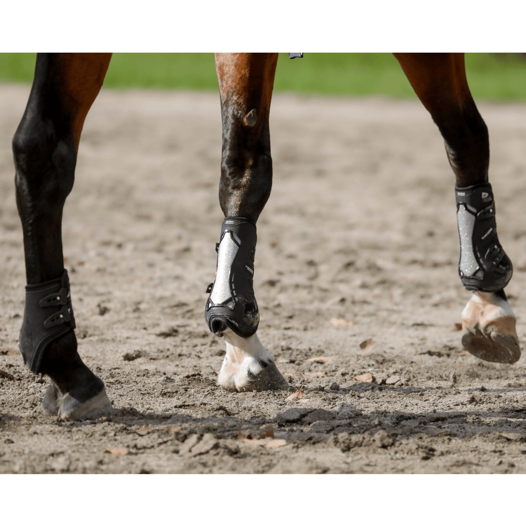 Zandona Carbon Chic Tendon Boots - Black/Silver