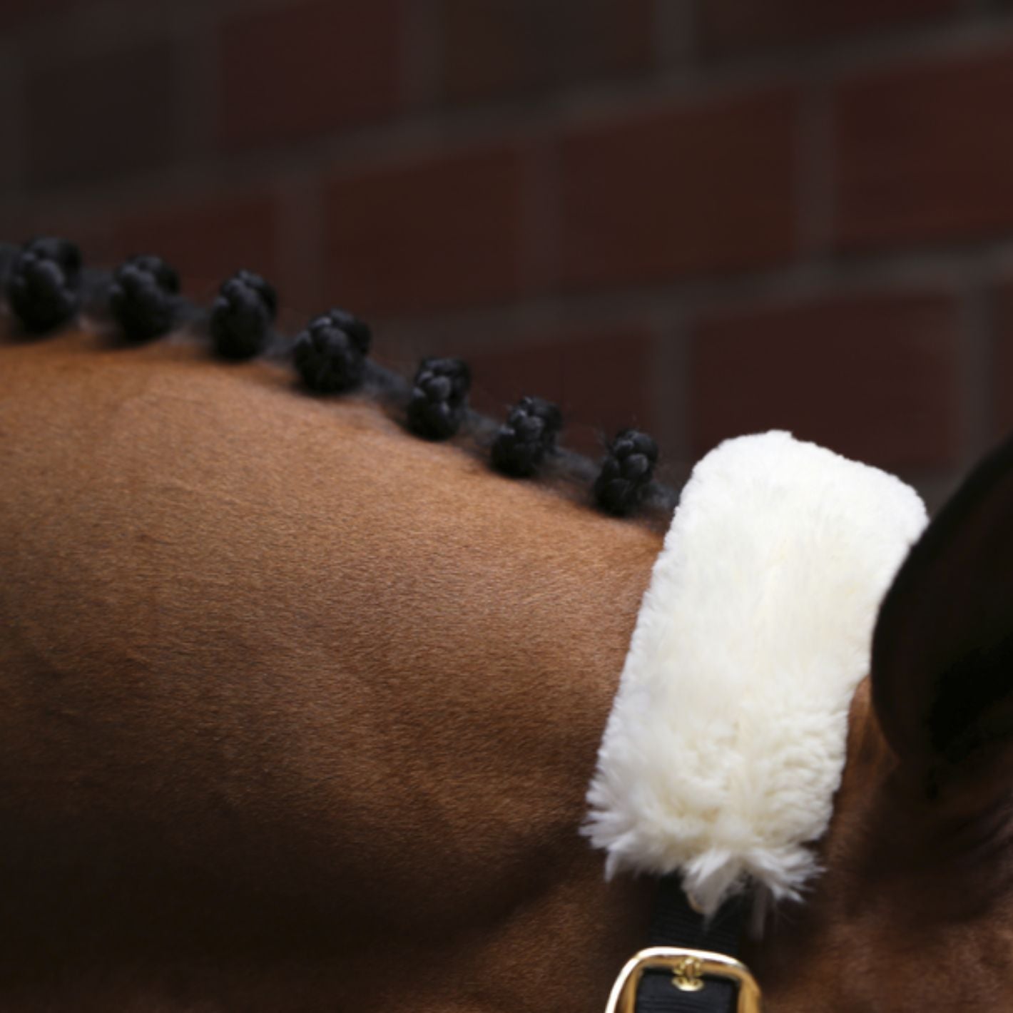 Kentucky Sheepskin Shipping Headcollar - Black