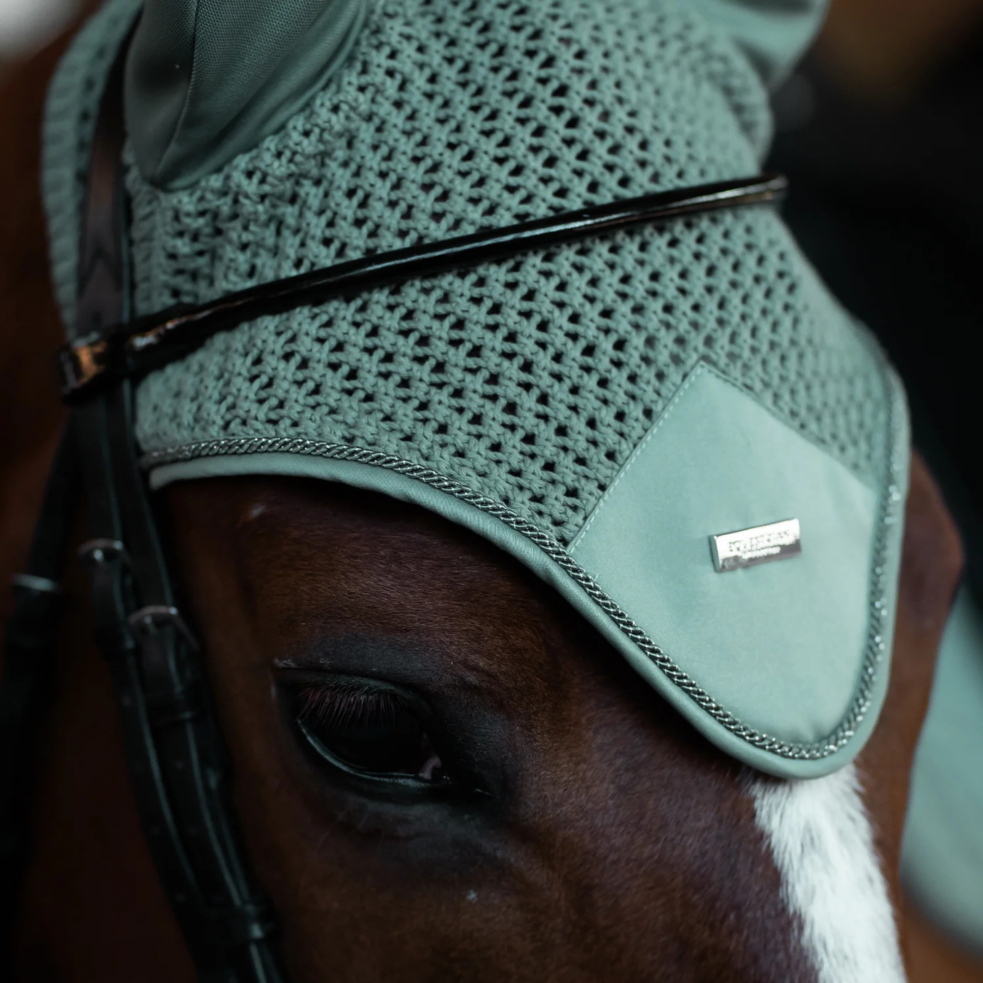 Equestrian Stockholm Ear Bonnet - Mint Green