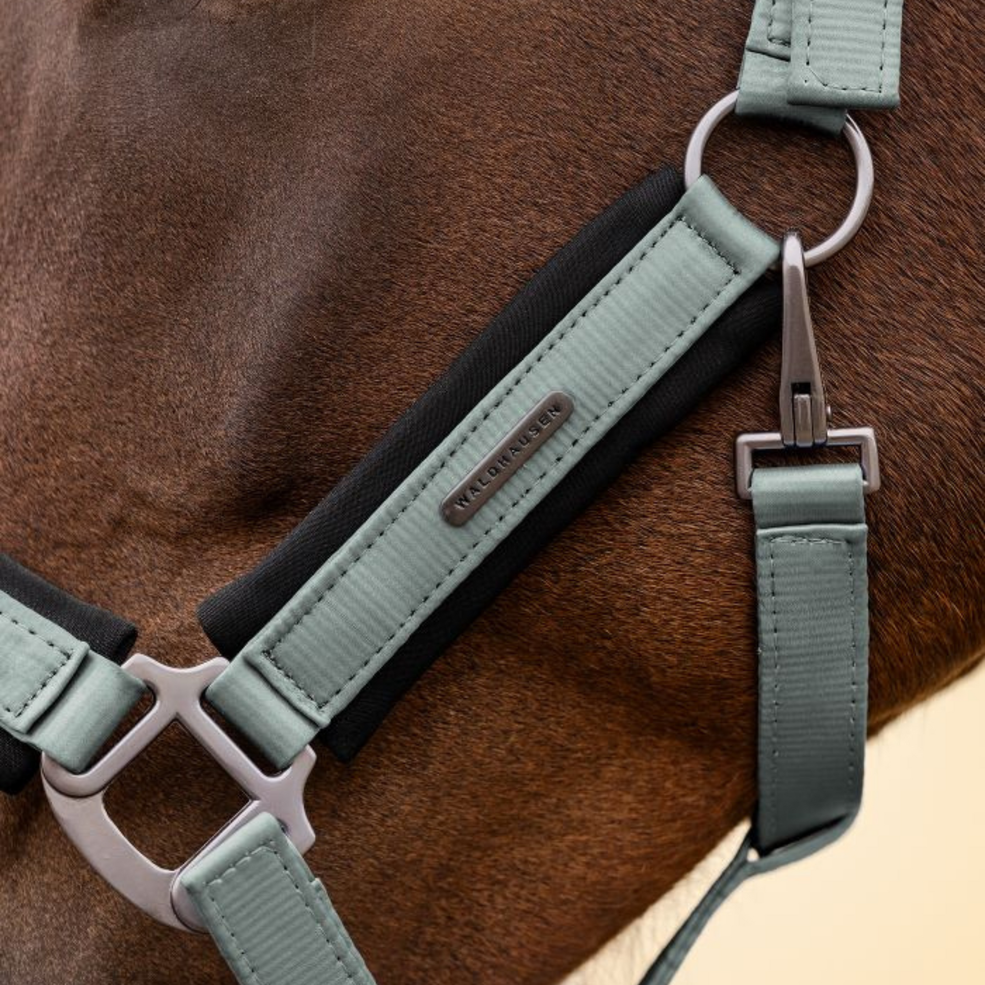 Waldhausen Headcollar & Leadrope Set - Silver Blue