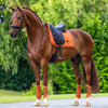 Equestrian Stockholm Satin Dressage Pad - Chestnut