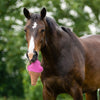 QHP Horse Toy - Ice Cream