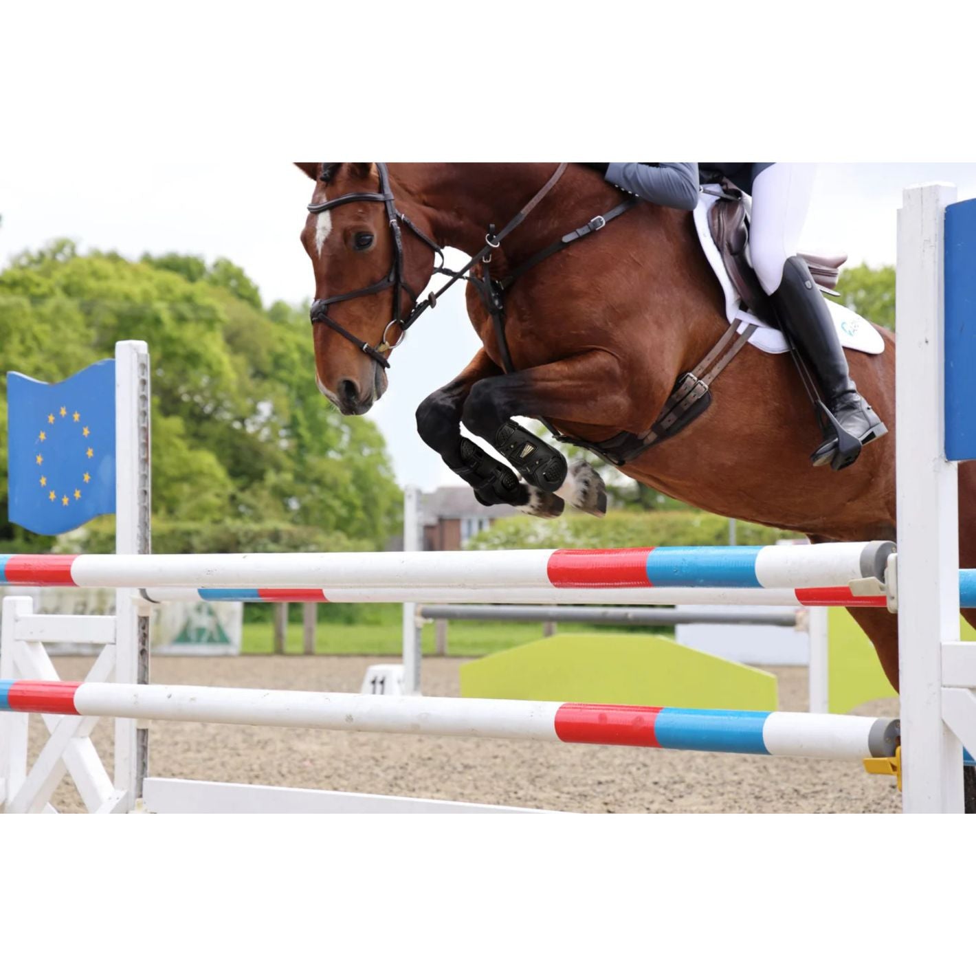 Shires ARMA OXI-ZONE Tendon Boots