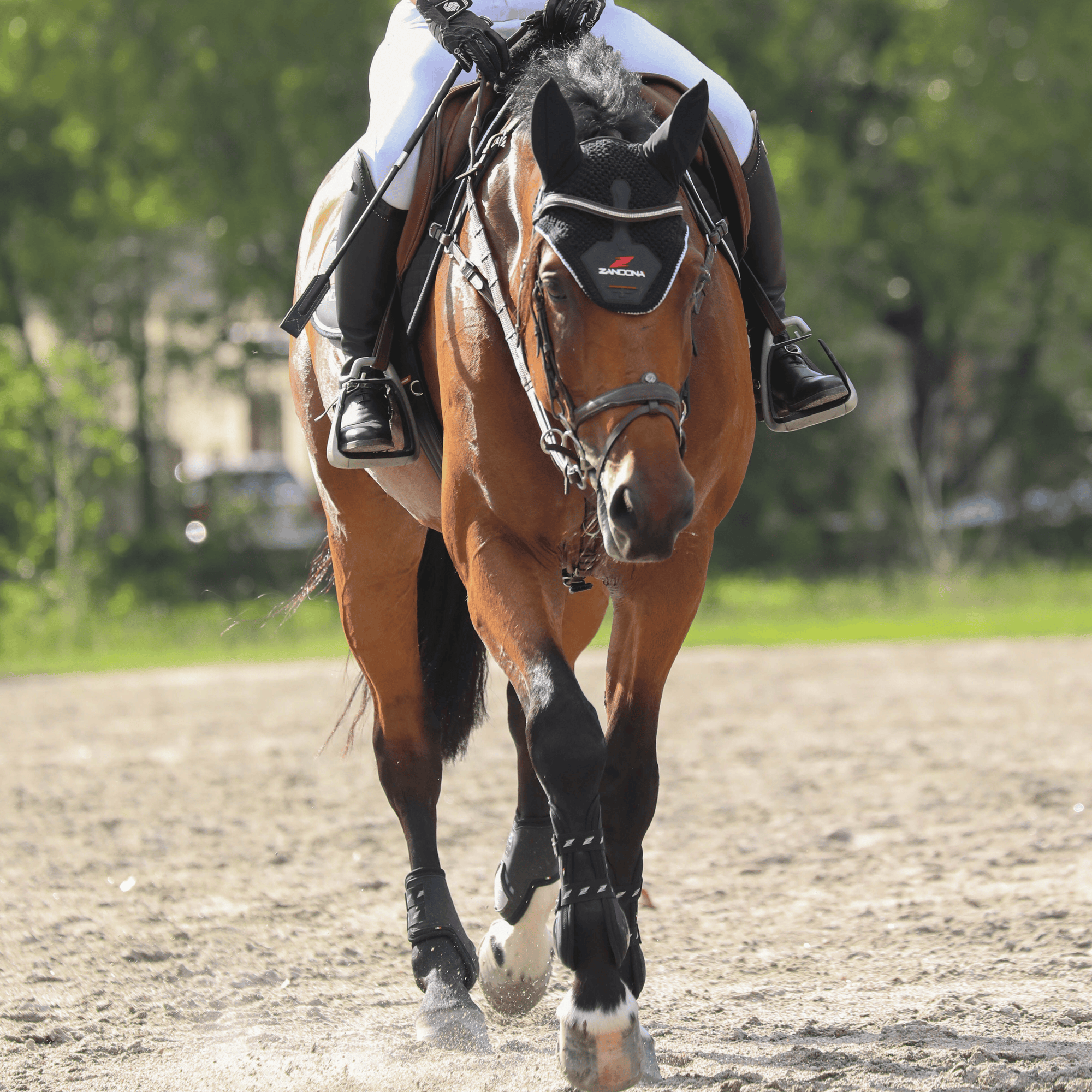 Zandona Carbon Chic Tendon Boots - Black/Silver