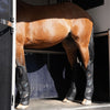 Zandona Pro-Safe Travel Boot - Front