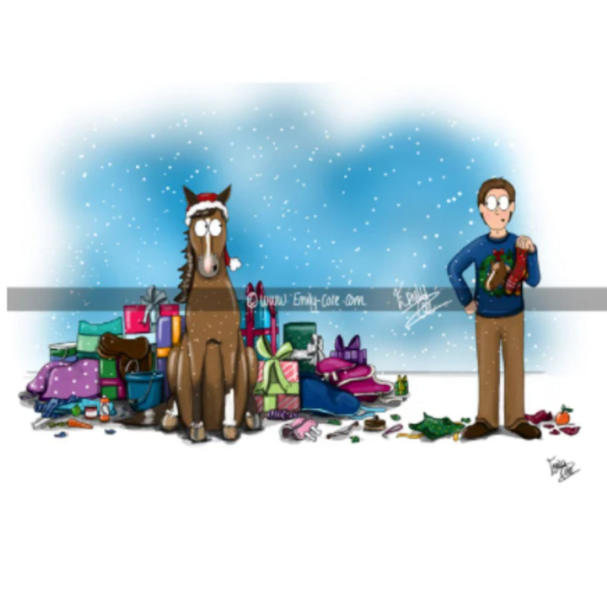 Emily Cole Christmas Greeting Cards -  Pack of 10 cards