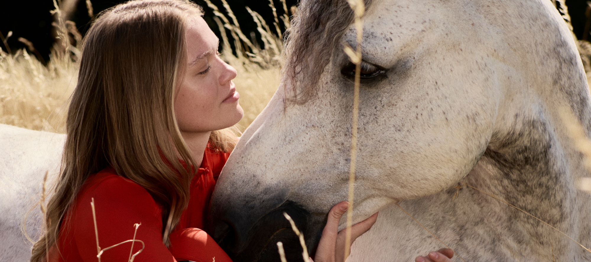 The Tack Shop Singapore