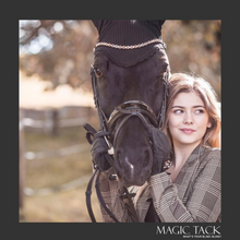 Load image into Gallery viewer, Magic Tack Browbands - The Tack Shop
