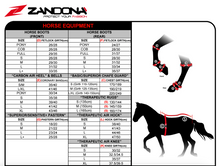 Load image into Gallery viewer, Zandona Carbon Air Heel Overreach Boots - Black
