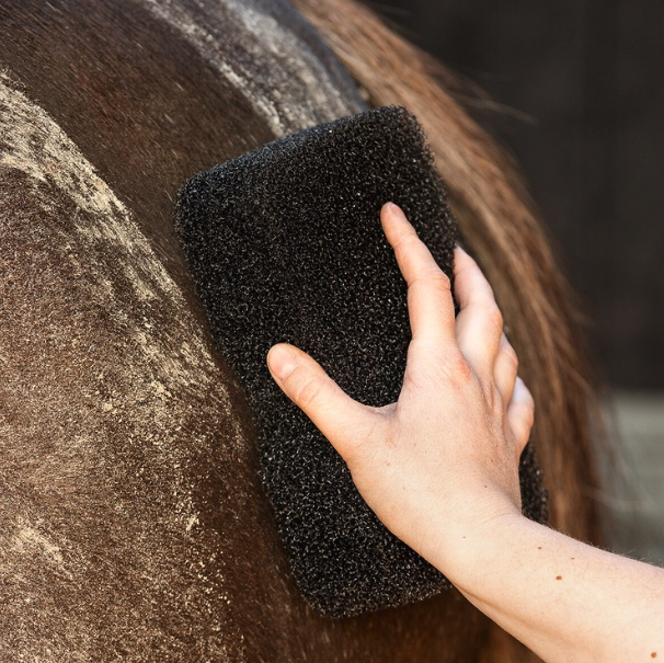 QHP Equi Super Shine Sponge