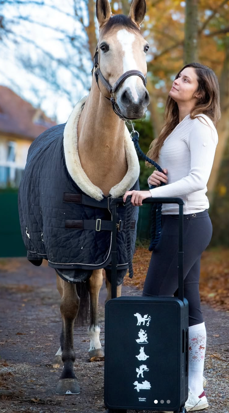 Wonderstable Umako Cabin Carry On - Black