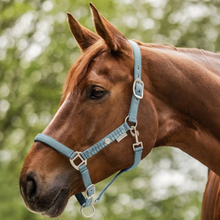 Load image into Gallery viewer, Waldhausen Florence Headcollar &amp; Leadrope Set - Alpine Blue
