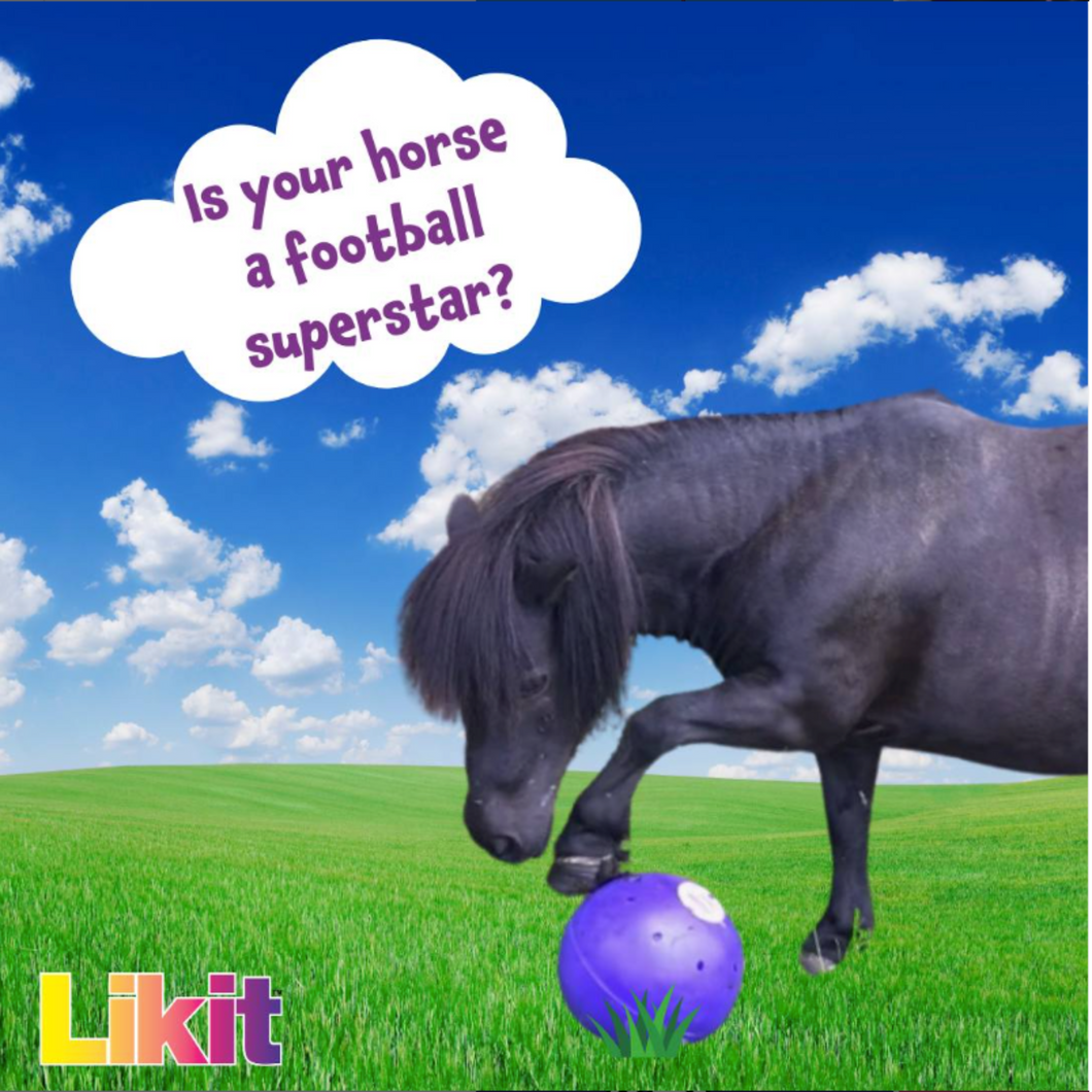 Likit Snak-A-Ball - Purple