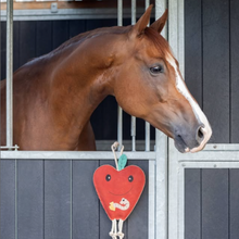 Load image into Gallery viewer, QHP Horse Toy - Apple
