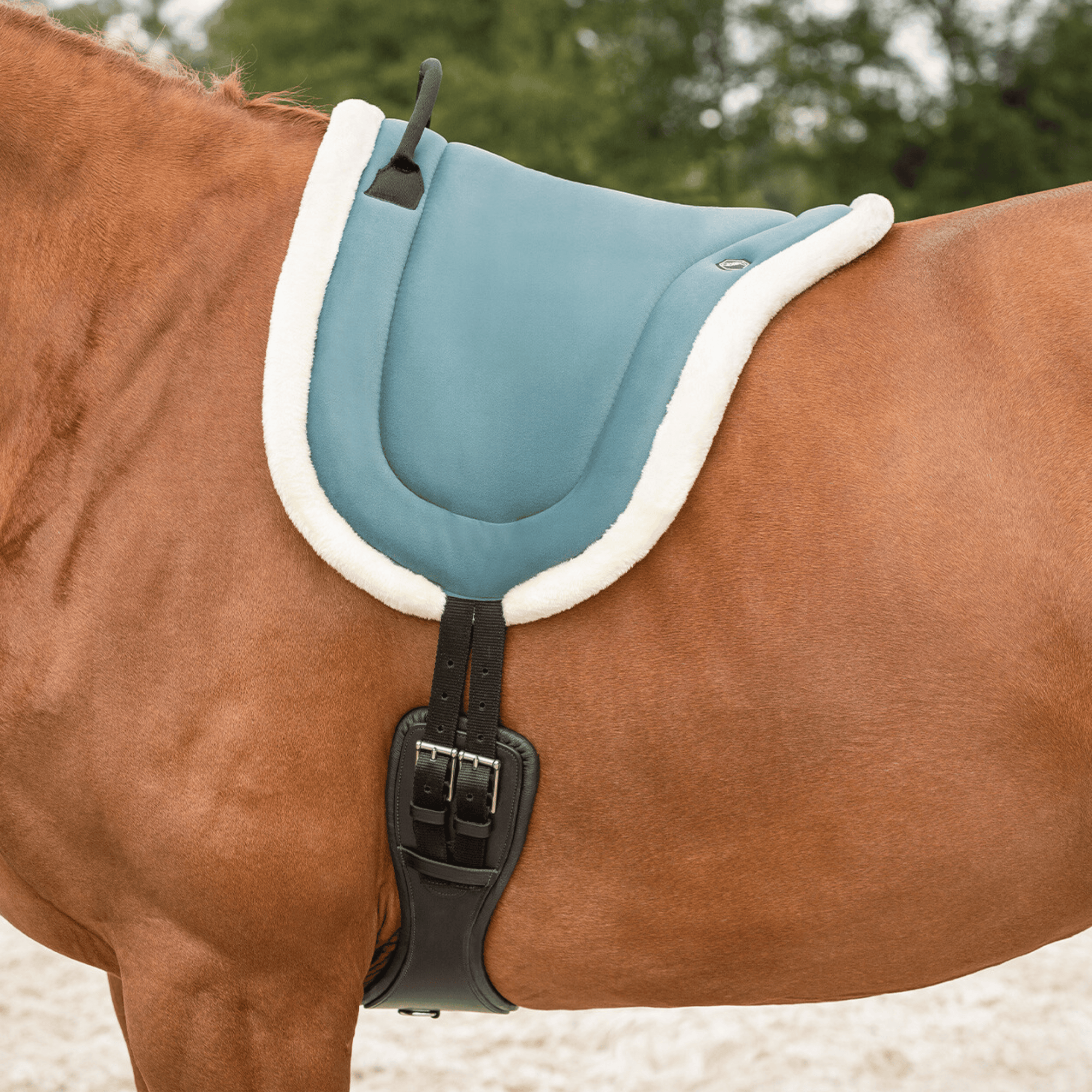 QHP Bareback Pad - Petrol