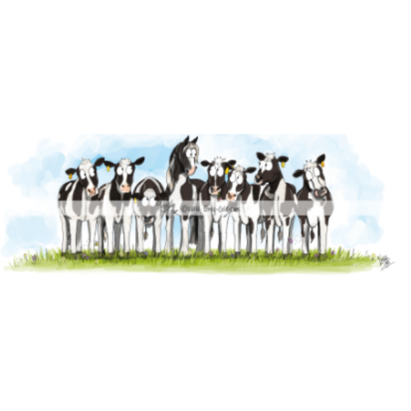 Emily Cole Fine Bone China Mugs - Cow Pony