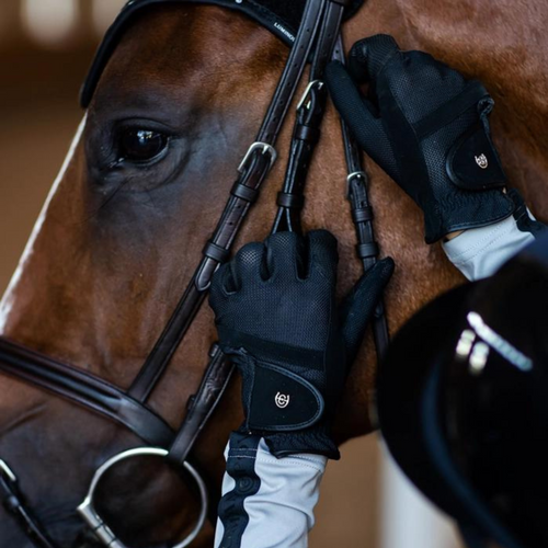 Mens leather horse riding 2025 gloves