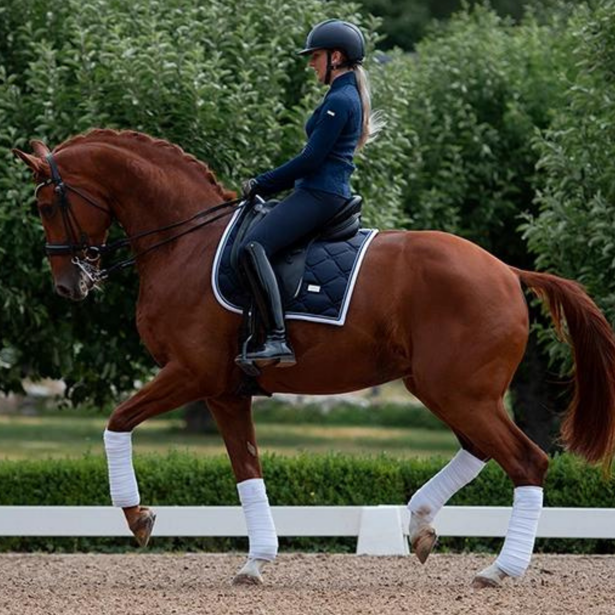 Equestrian Stockholm Dressage Pad - Midnight White